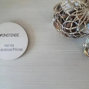 Luxe Met Adembenemend Uitzicht Op Zee Oostende